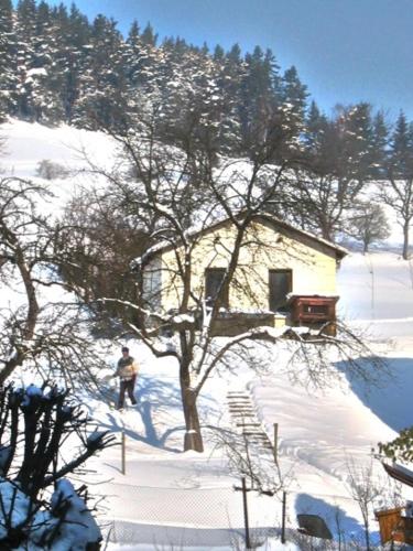 a person standing in the snow next to a house at Hotel-Gasthaus Steiger in Gräfenthal