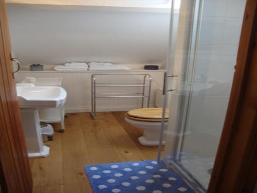 a bathroom with a toilet and a sink at Church Barn in Harberton