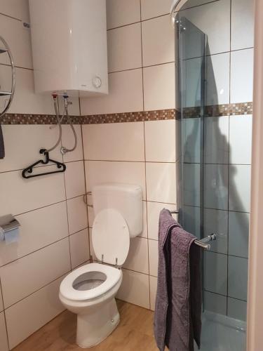 a bathroom with a toilet and a shower at A place to remember in piran in Piran