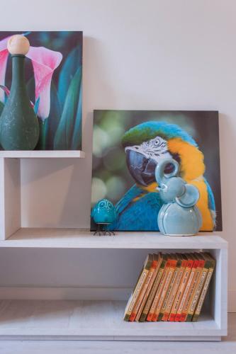 a painting of a parrot sitting on a shelf at Soho Point Central in Buenos Aires