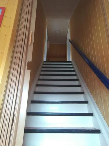a stair case in a building with blue steps at Blue House II at the end of the World in Mehamn