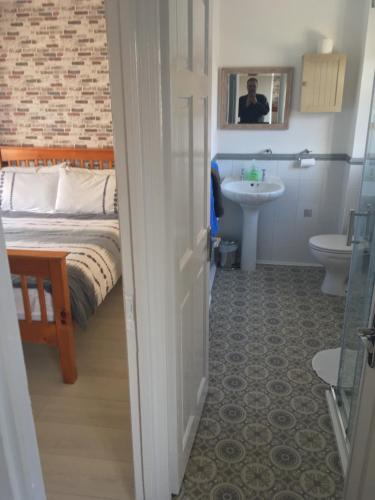 a bathroom with a toilet, sink, and bathtub at Amore Bed & Breakfast in Derry Londonderry
