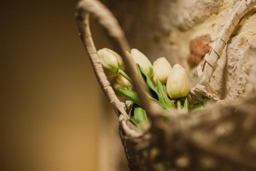 Fotografie z fotogalerie ubytování Rooms Villa Duketis v Rovinji