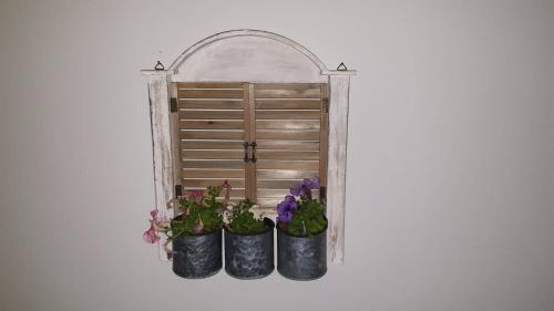 two potted plants in front of a wooden door at blue - comfy center rodos in Asgourou