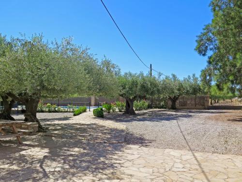 a row of olive trees in a gravel yard at Casa El Ros II - Turistrat in Vall dʼAlba