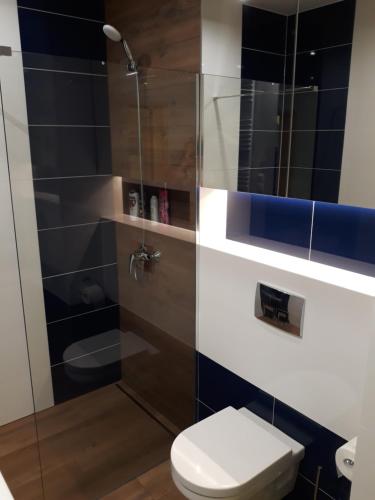 a bathroom with a toilet and a glass shower at Mazurskie Klimaty Tatarak in Olsztyn
