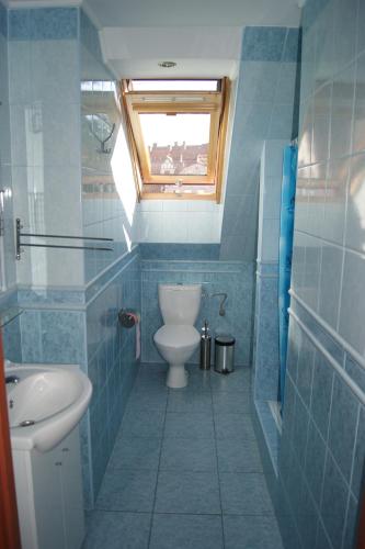 a blue bathroom with a toilet and a sink at Domowe Zacisze in Ustka