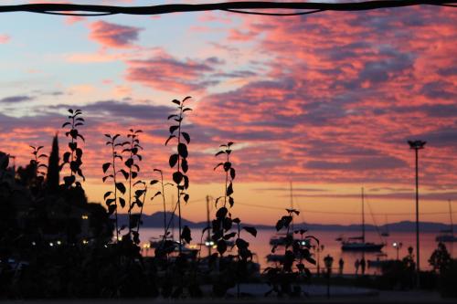 a view of a sunset with a plant in the foreground at Fissas Rooms in Sivota