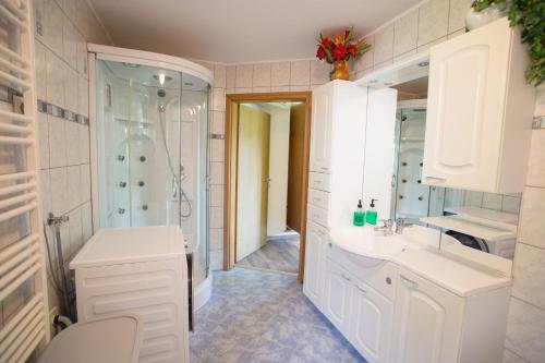 A bathroom at Apartma na Ravnicah