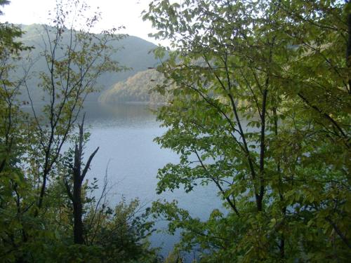 a view of a lake from between two trees at Pensiunea Popasul Iancului in Mărişel