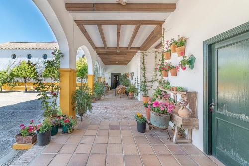 a courtyard with potted plants and a building at Alterhome Private Villa Cortijo Sierra y Lago in Arcos de la Frontera