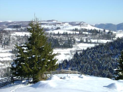 a christmas tree on a snow covered hill with trees at Pensiunea Popasul Iancului in Mărişel