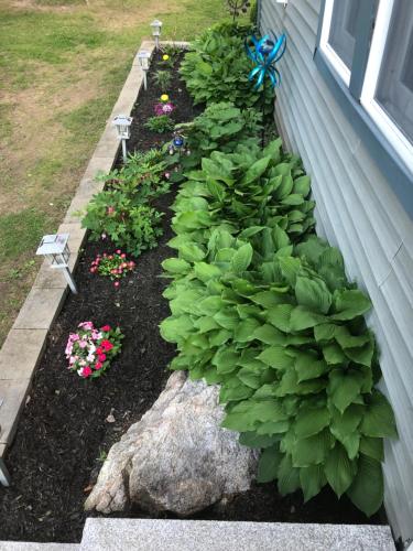 a garden with lettuce and flowers on the side of a house at Welcome to the Lake in Northwood