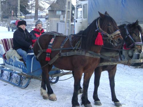 two people riding on a horse drawn carriage in the snow at Pensiunea Popasul Iancului in Mărişel