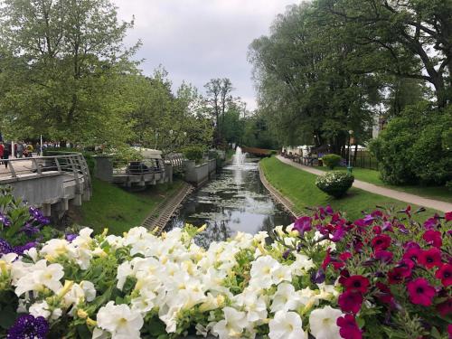 Butai labai geroje vietoje prie juros