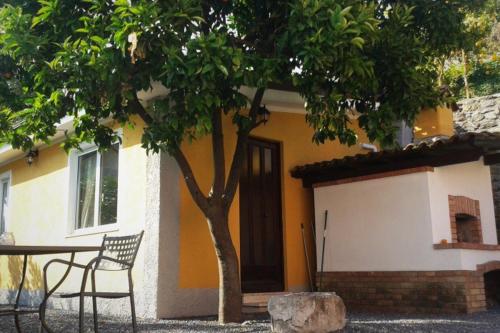 een huis met een tafel en een boom ervoor bij Agriturismo Ardissone Thomas in Diano San Pietro