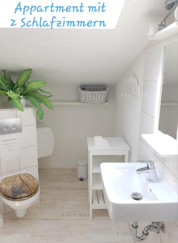 a white bathroom with a toilet and a sink at Reitanlage Duffner in Horst