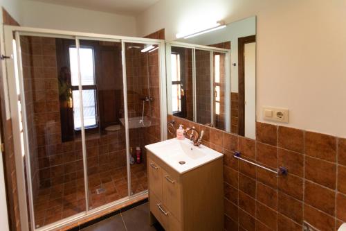 a bathroom with a sink and a shower at La Casa Azul in Alcanadre