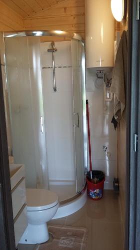 a small bathroom with a shower and a toilet at Agroturystyka na Słonecznej Orawie u Dzikich in Jabłonka