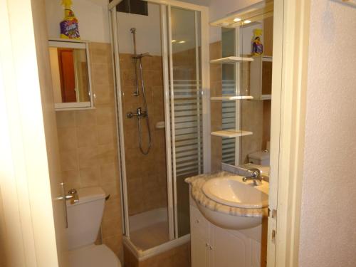 une salle de bain avec une douche, des toilettes et un lavabo dans l'établissement Studio n°4 agréable avec terrasse, bien situé, à Amélie-les-Bains-Palalda