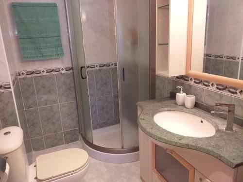 uma casa de banho com um WC, um lavatório e um chuveiro em Arrecife de las Sirenas em Almeria