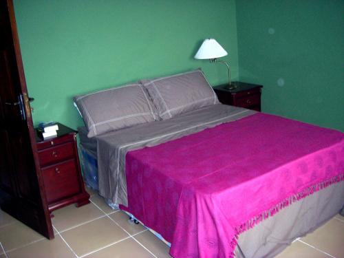 a bedroom with a large bed with a pink blanket at Jamaica Inn Guest House in Bortianor
