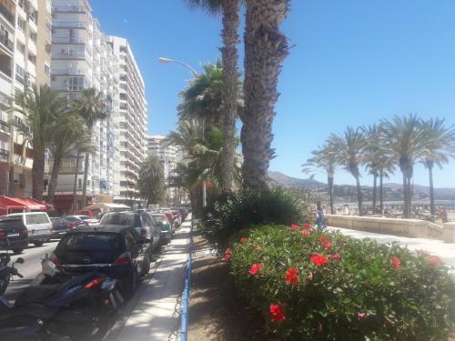 een stadsstraat met palmbomen en geparkeerde auto's bij EVE Malagueta in Málaga