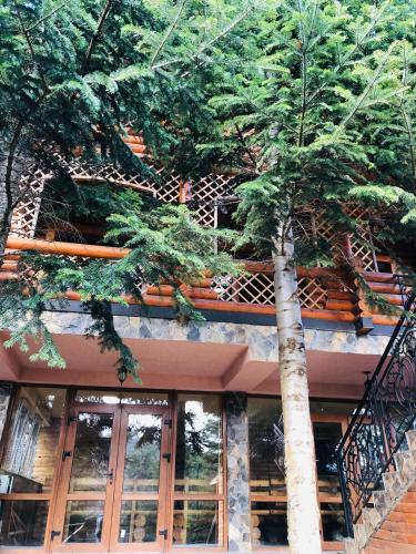 Balkón nebo terasa v ubytování Forest House