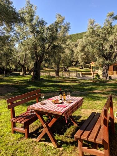 a picnic table with a bottle of wine and two benches at Green Heaven Cottage in Ulcinj
