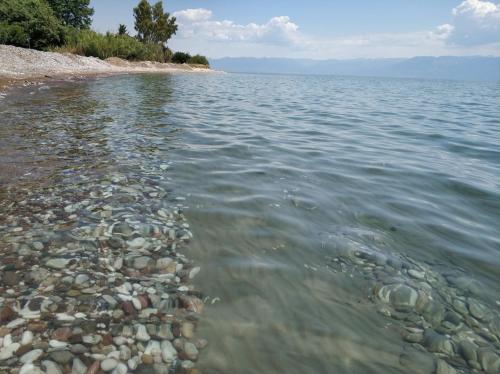 a rocky shore of a body of water at Agios Andreas Beach Villas in Áyios Andréas Messinias