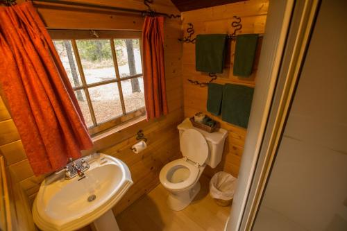 a small bathroom with a toilet and a sink at Storm Mountain Lodge & Cabins in Banff