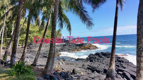 a beach with palm trees and the words coastal tag posts at Coconut Palms Vacation Rental near lava fields and beaches in Kehena