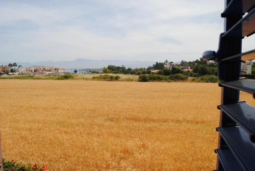 Gallery image of Villa Lachi in Polis Chrysochous