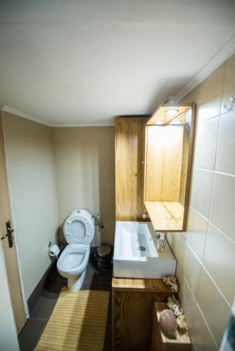 a bathroom with a toilet and a sink and a mirror at Agios Andreas Beach Villas in Áyios Andréas Messinias