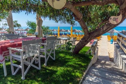a table and chairs under a tree on the beach at Hotel Loukas Vrachos in Paralia Vrachou
