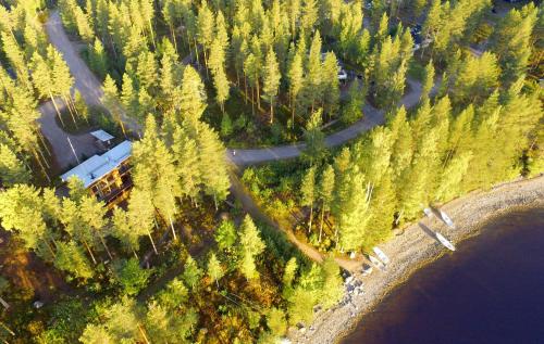 an aerial view of a forest with trees and a road at PielisLinna in Kolinkylä