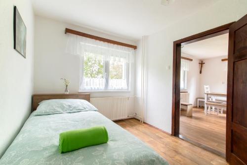 sypialnia z łóżkiem z zieloną poduszką w obiekcie Domačija Vesel w mieście Trebnje