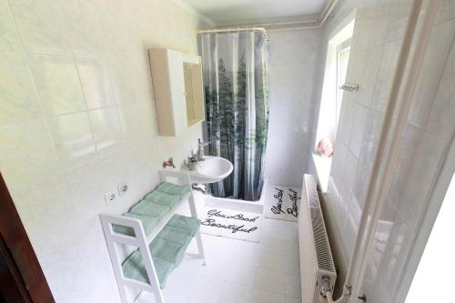 La salle de bains blanche est pourvue d'un lavabo et d'une douche. dans l'établissement Domačija Vesel, à Trebnje