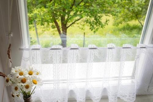 a window with a white curtain and some flowers at Domačija Vesel in Trebnje