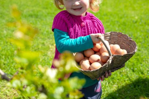 a little girl holding a basket of eggs at Domačija Vesel in Trebnje