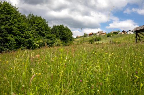 a field of tall grass with houses on a hill at Domačija Vesel in Trebnje