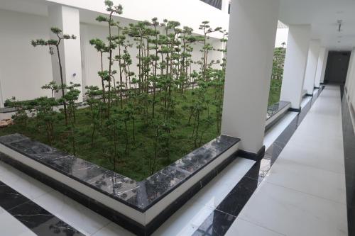 a planter with plants in the middle of a hallway at Garco Dragon Hotel 2 in Hanoi