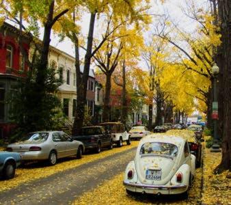 a white car parked on the side of a street at Big Bright 1 BR at U/Shaw + 14th on Quaint Swann in Washington