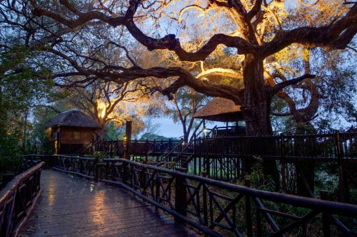 a wooden walkway in a park with a tree at Kruger Gate Hotel in Skukuza
