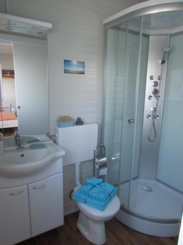 ein Bad mit einer Dusche, einem WC und einem Waschbecken in der Unterkunft Ferienwohnungen Köckhausen Nähe Red Bull Ring in Rattenberg