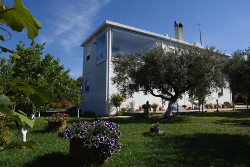 Κήπος έξω από το Mina Apartments