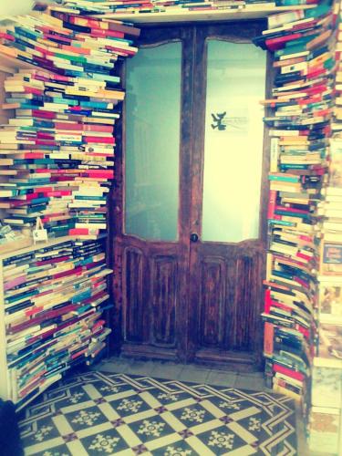 Ratones de Biblioteca