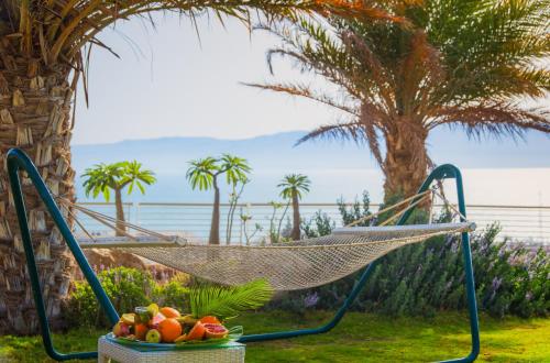 a hammock in a garden with a bowl of fruit at Ein Gedi Kibbutz Hotel in Ein Gedi