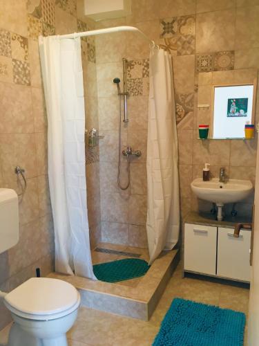 a bathroom with a shower and a toilet and a sink at Villa Sole Tisno in Tisno