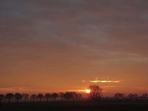a sunset with a row of trees in a field at Roer, huisje aan de Maas in Maren-Kessel
